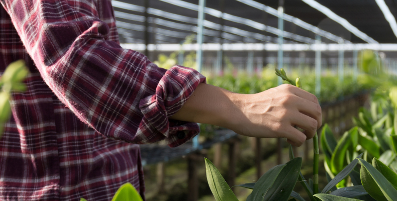 ALL_news_26C28_x82s26ip3U