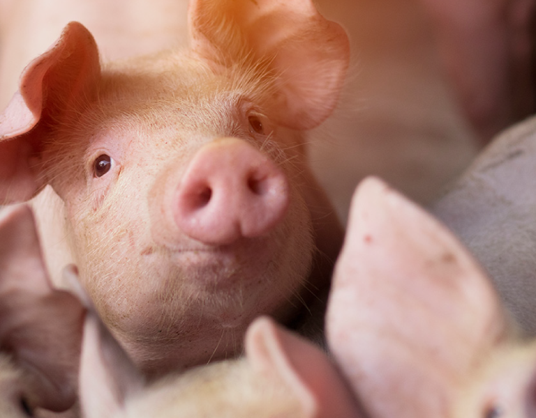 ALL_news_26C20_TAGWFj3VaV