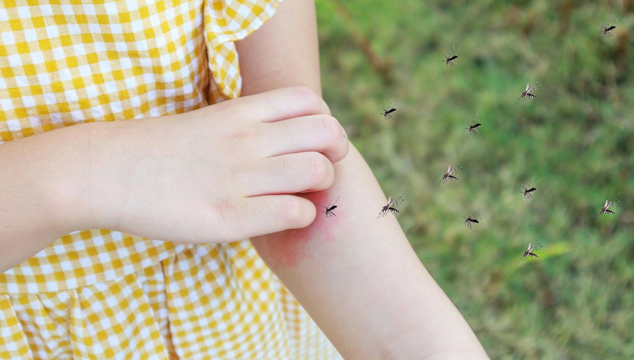 解密屈公病｜症狀、傳染途徑與預防全解析