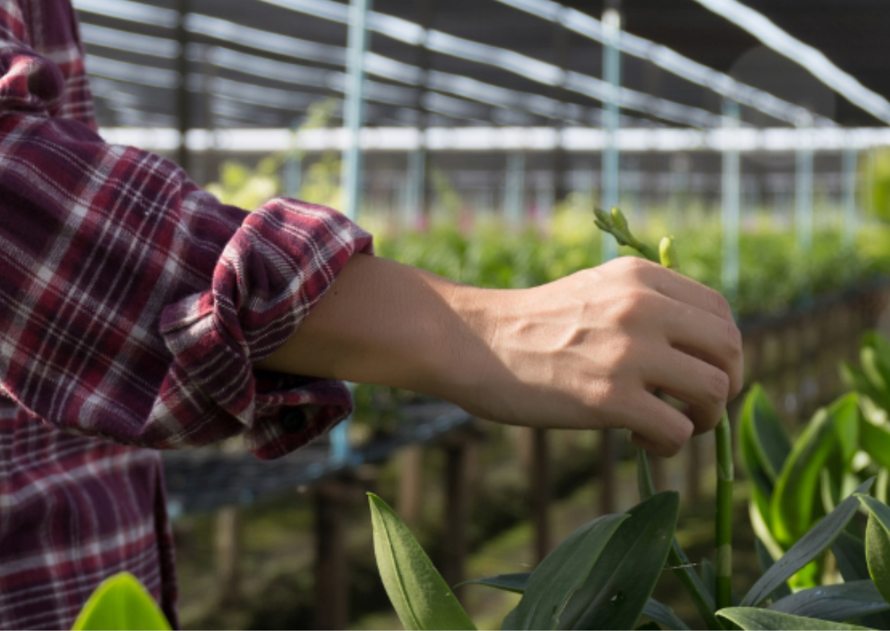 農業移工怎麼找？農業外勞申請資格、條件、流程懶人包！